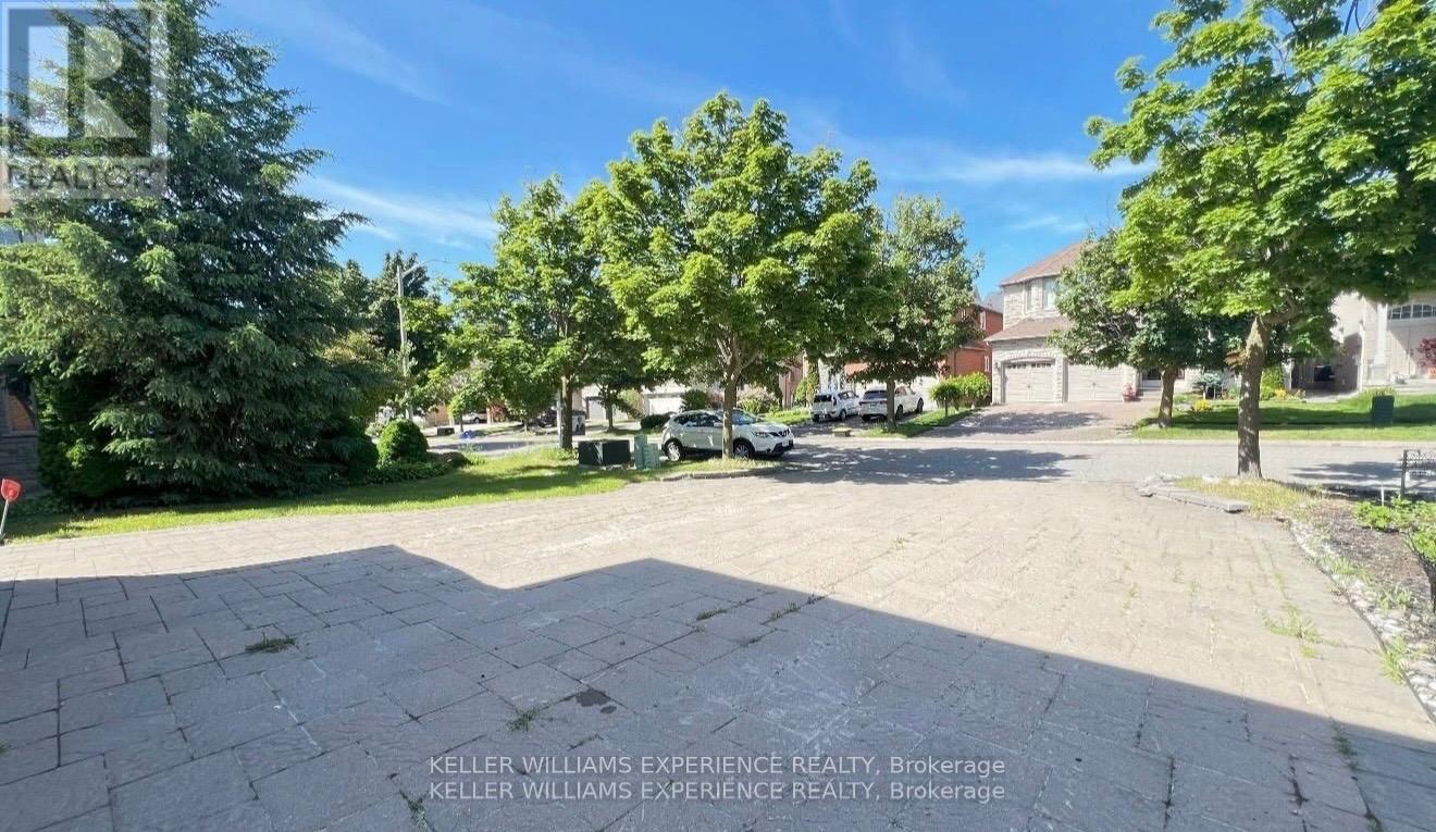 Bsmt - 44 Alpine Crescent, Richmond Hill, Ontario  L4S 1W4 - Photo 2 - N13607360