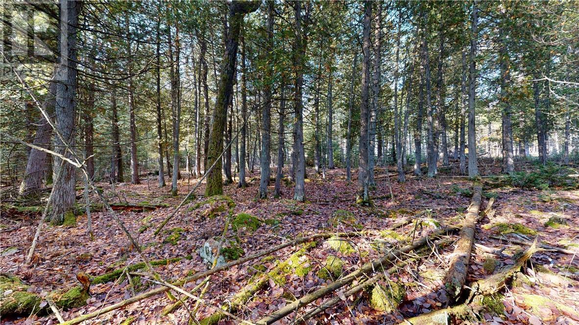 7 Sandy Point, Manitowaning, Ontario  P0P 1N0 - Photo 10 - 2129449