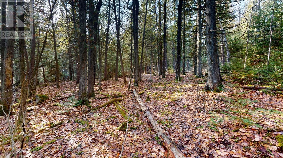 7 Sandy Point, Manitowaning, Ontario  P0P 1N0 - Photo 12 - 2129449