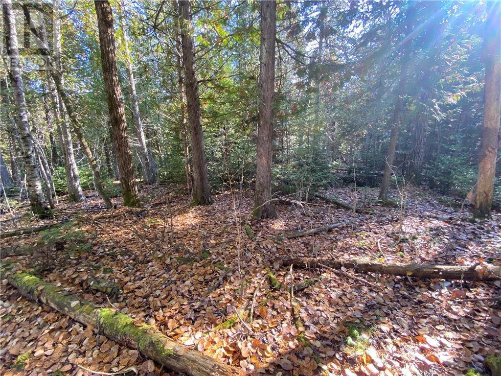 7 Sandy Point, Manitowaning, Ontario  P0P 1N0 - Photo 15 - 2129449