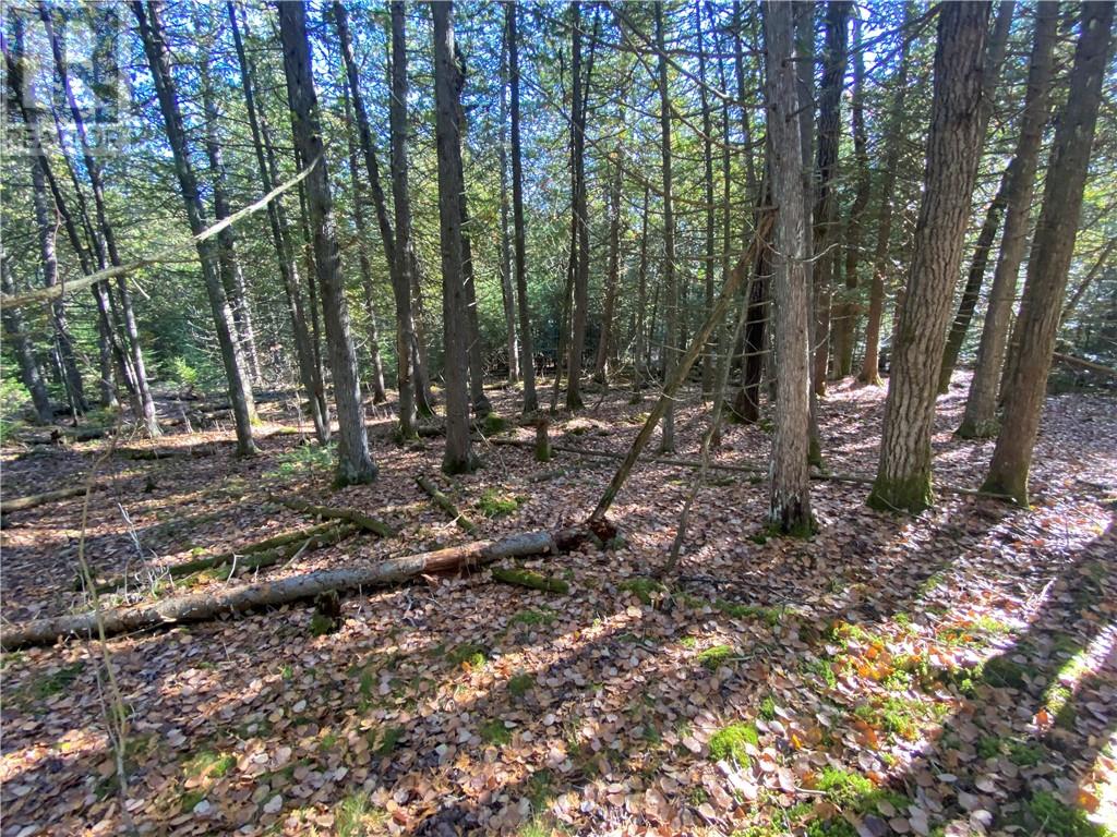 7 Sandy Point, Manitowaning, Ontario  P0P 1N0 - Photo 16 - 2129449