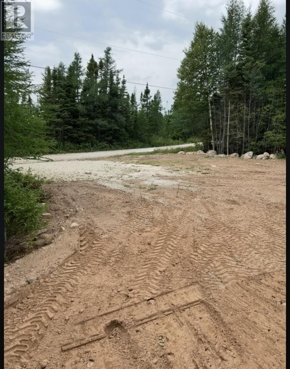 8a Sandy Stream Road, Howley, Newfoundland & Labrador  A0K 3E0 - Photo 4 - 1297281