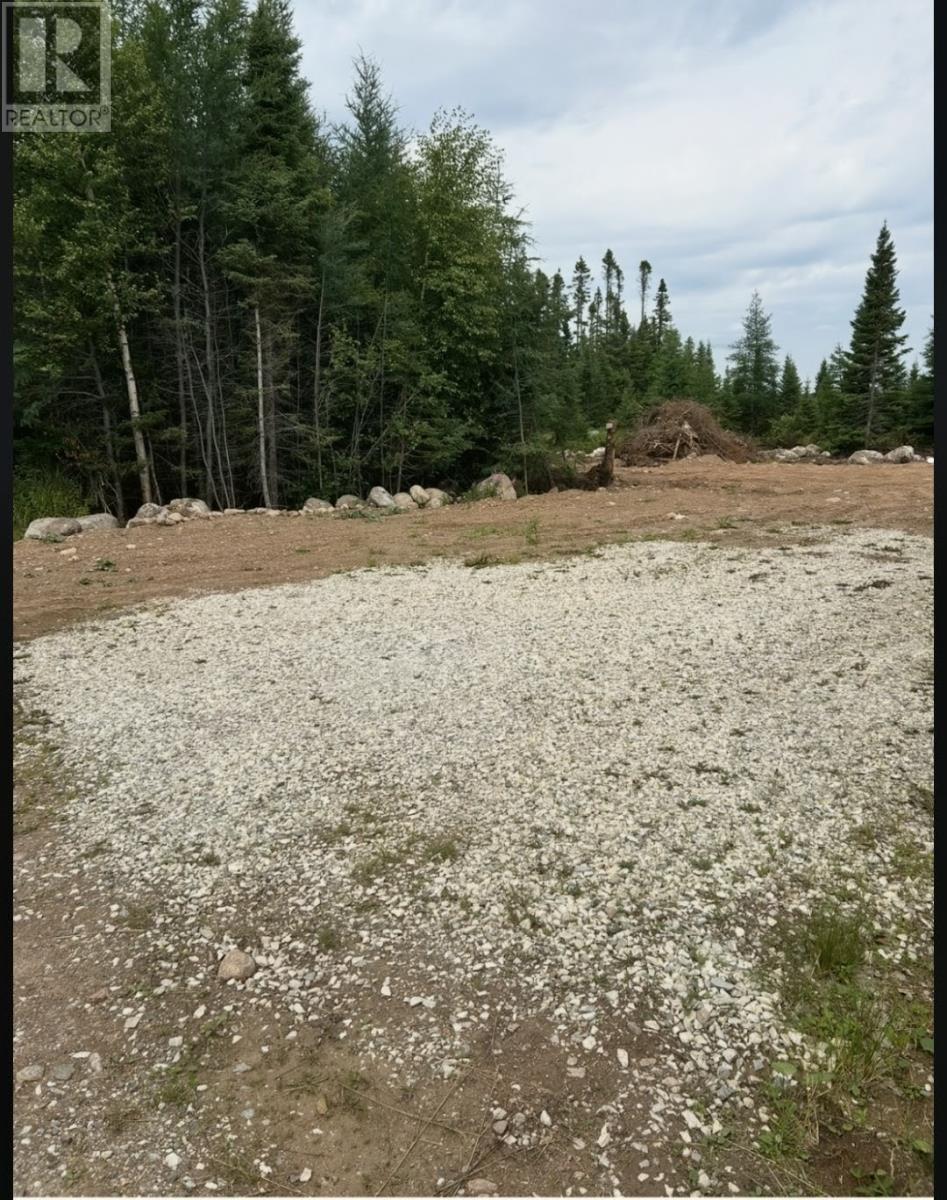 8a Sandy Stream Road, Howley, Newfoundland & Labrador  A0K 3E0 - Photo 5 - 1297281