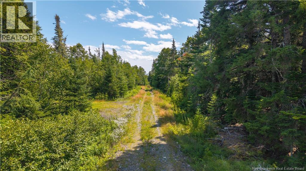 294 Route 172, Letang, New Brunswick  E5C 1W3 - Photo 10 - NB144766