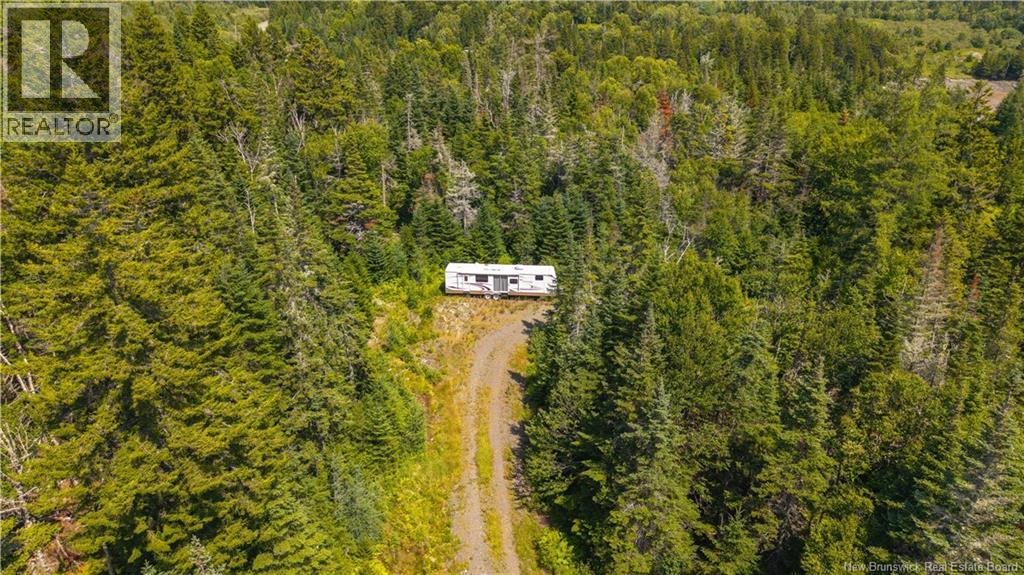 294 Route 172, Letang, New Brunswick  E5C 1W3 - Photo 11 - NB144766