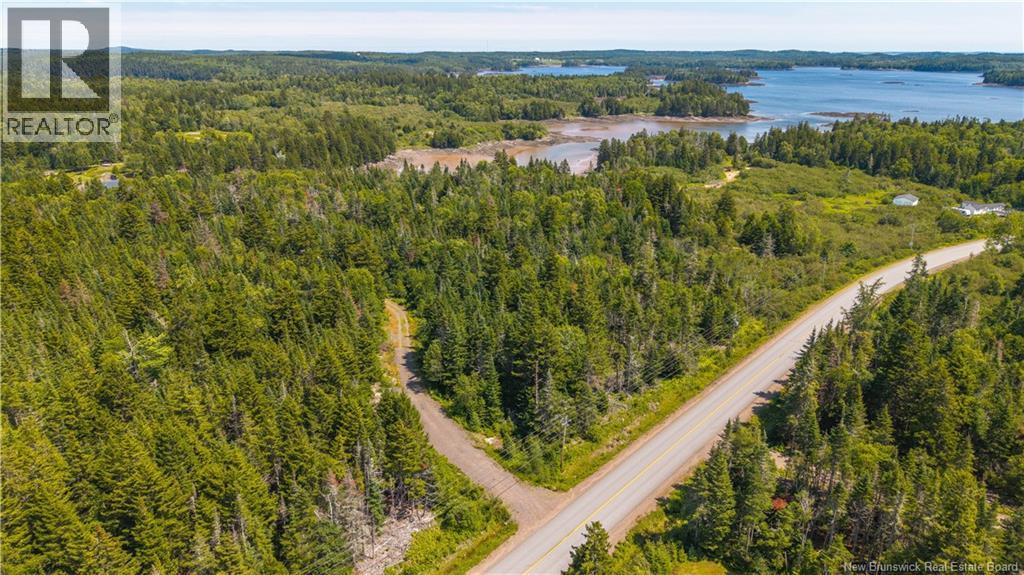 294 Route 172, Letang, New Brunswick  E5C 1W3 - Photo 8 - NB144766
