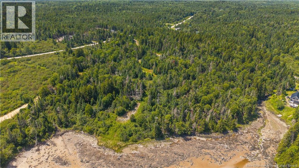 294 Route 172, Letang, New Brunswick  E5C 1W3 - Photo 15 - NB144766