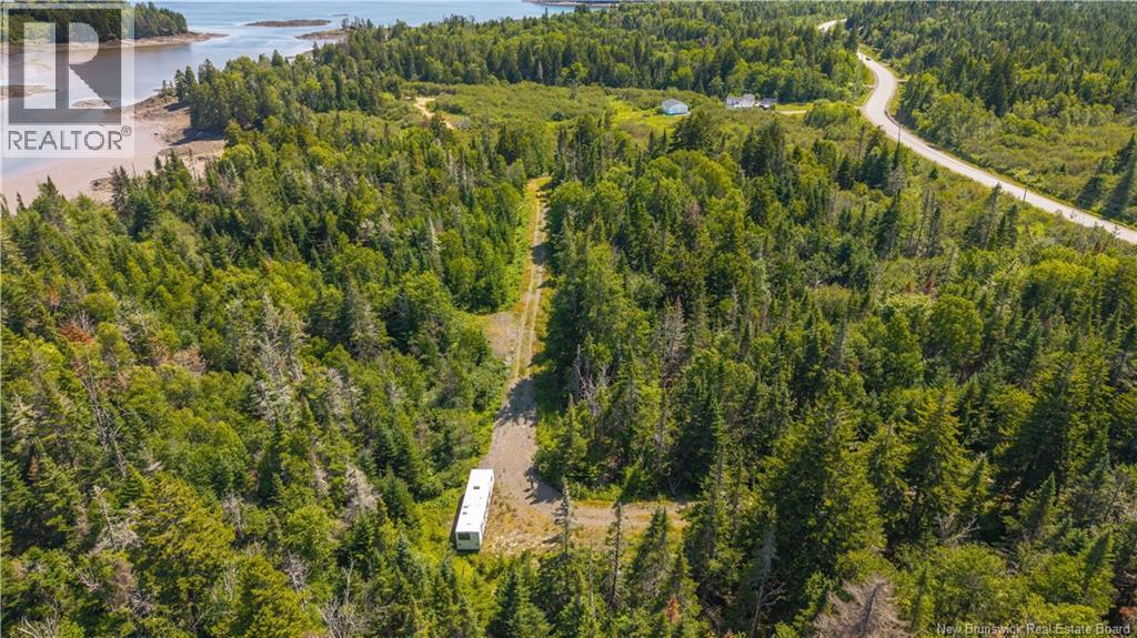 294 Route 172, Letang, New Brunswick  E5C 1W3 - Photo 12 - NB144766