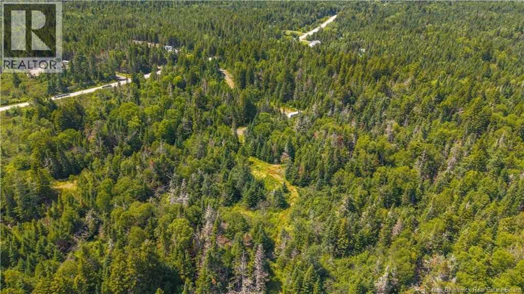 294 Route 172, Letang, New Brunswick  E5C 1W3 - Photo 14 - NB144766