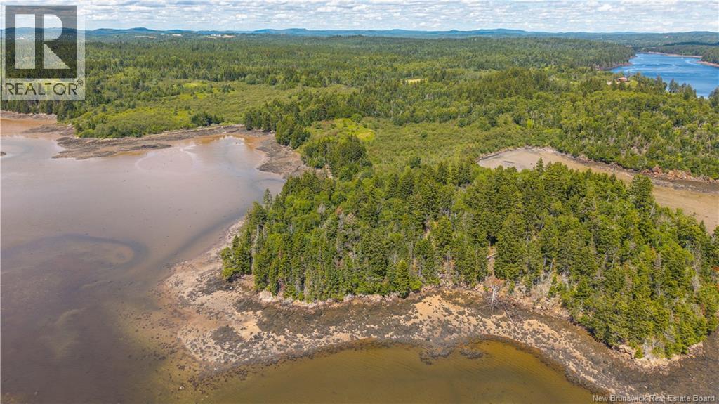 294 Route 172, Letang, New Brunswick  E5C 1W3 - Photo 23 - NB144766