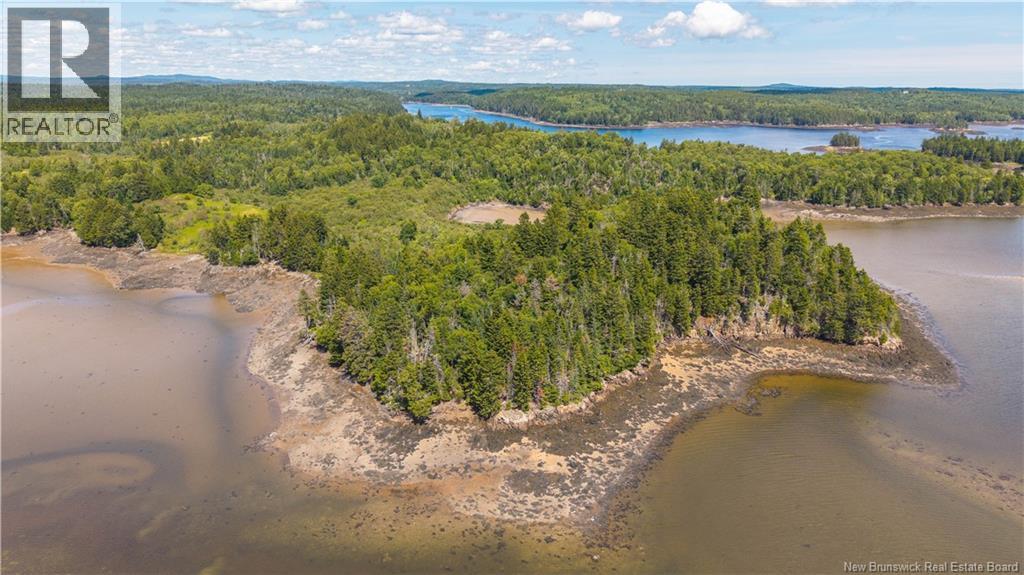 294 Route 172, Letang, New Brunswick  E5C 1W3 - Photo 22 - NB144766