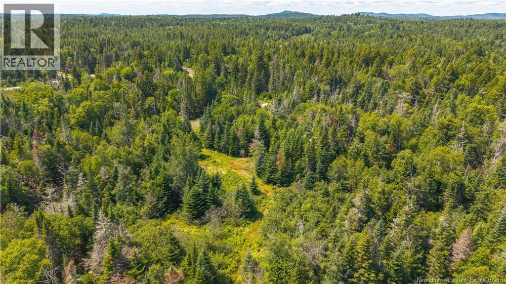 294 Route 172, Letang, New Brunswick  E5C 1W3 - Photo 32 - NB144766