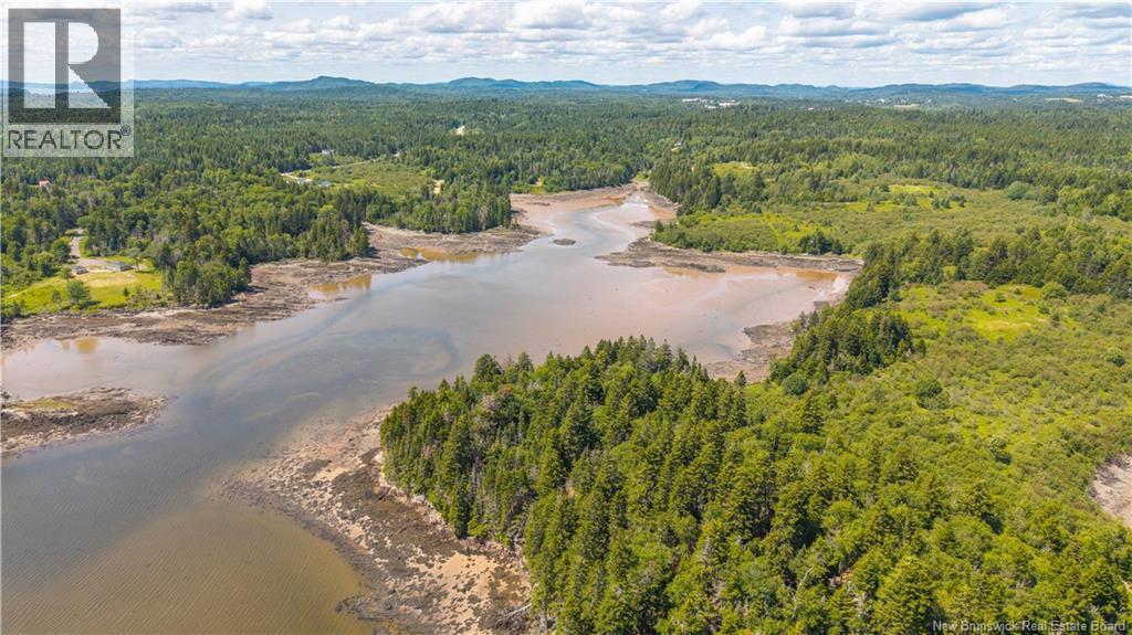 294 Route 172, Letang, New Brunswick  E5C 1W3 - Photo 24 - NB144766