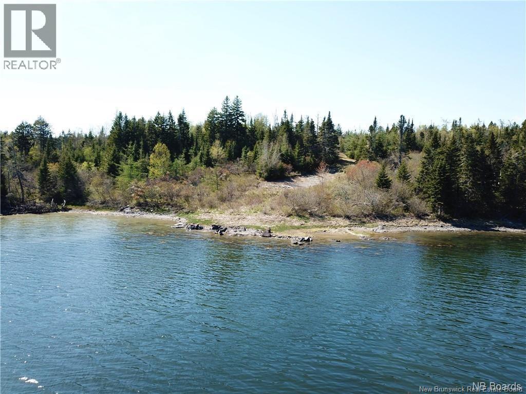 294 Route 172, Letang, New Brunswick  E5C 1W3 - Photo 2 - NB144766