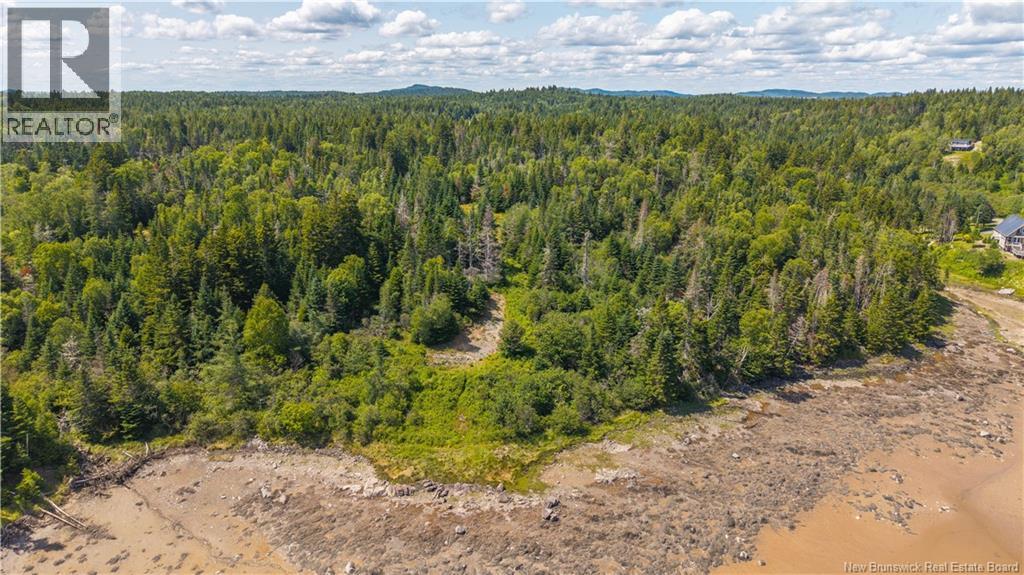 294 Route 172, Letang, New Brunswick  E5C 1W3 - Photo 31 - NB144766
