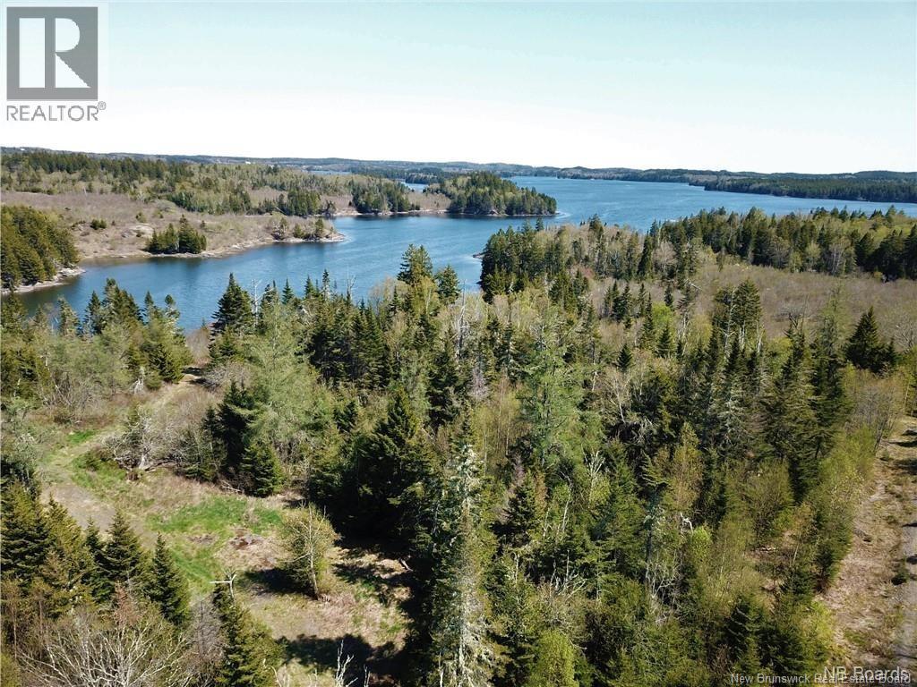 294 Route 172, Letang, New Brunswick  E5C 1W3 - Photo 35 - NB144766