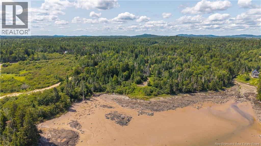 294 Route 172, Letang, New Brunswick  E5C 1W3 - Photo 30 - NB144766