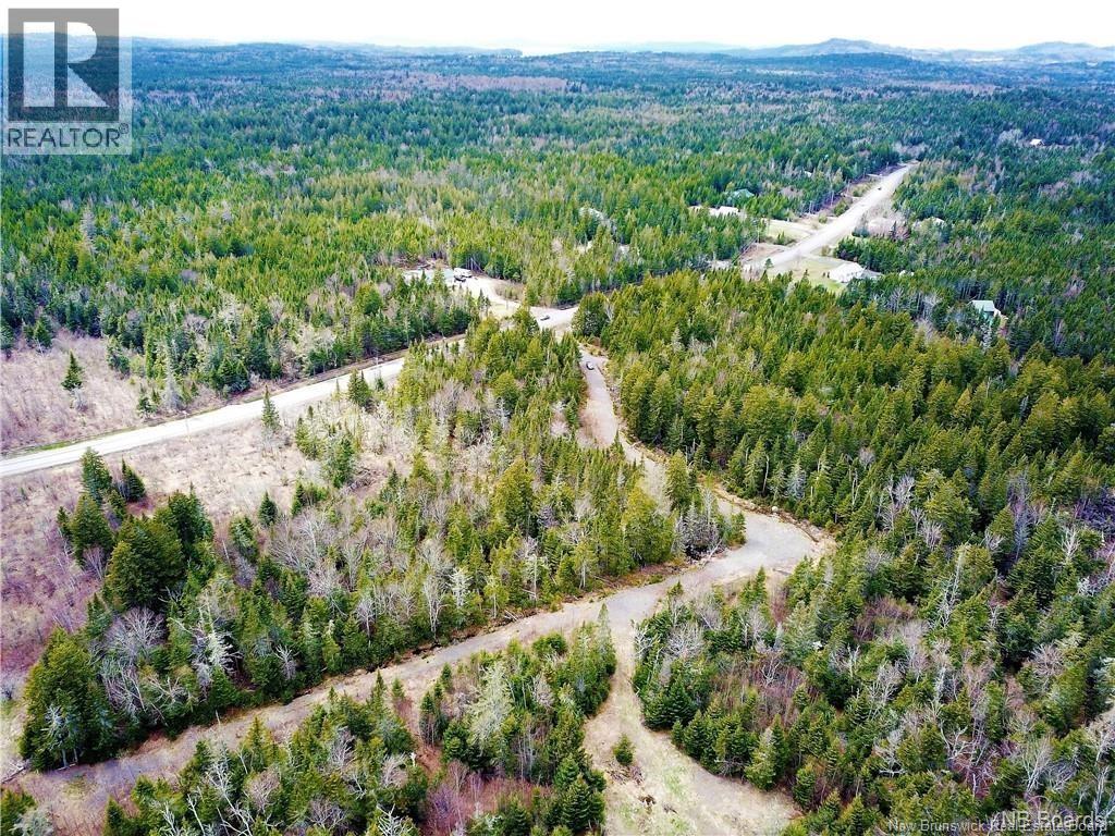 294 Route 172, Letang, New Brunswick  E5C 1W3 - Photo 33 - NB144766