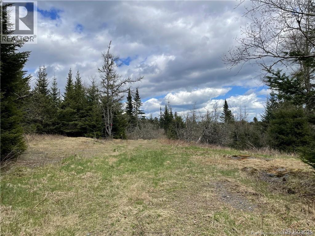 294 Route 172, Letang, New Brunswick  E5C 1W3 - Photo 38 - NB144766