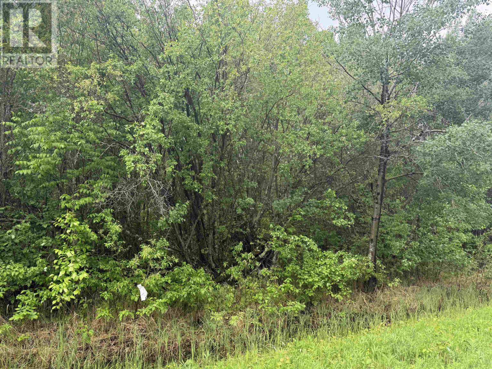 Pcl 11483 Budreau Rd, Rainy River, Ontario  P0W 1L0 - Photo 14 - TB2601849