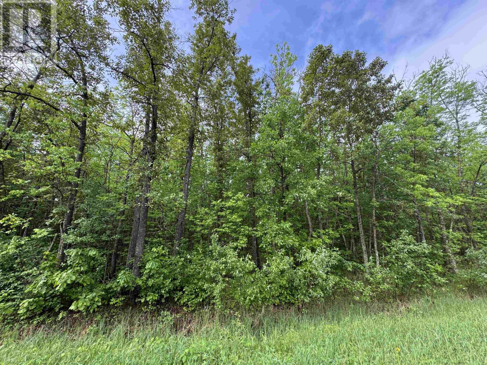 Pcl 11483 Budreau Rd, Rainy River, Ontario  P0W 1L0 - Photo 19 - TB2601849