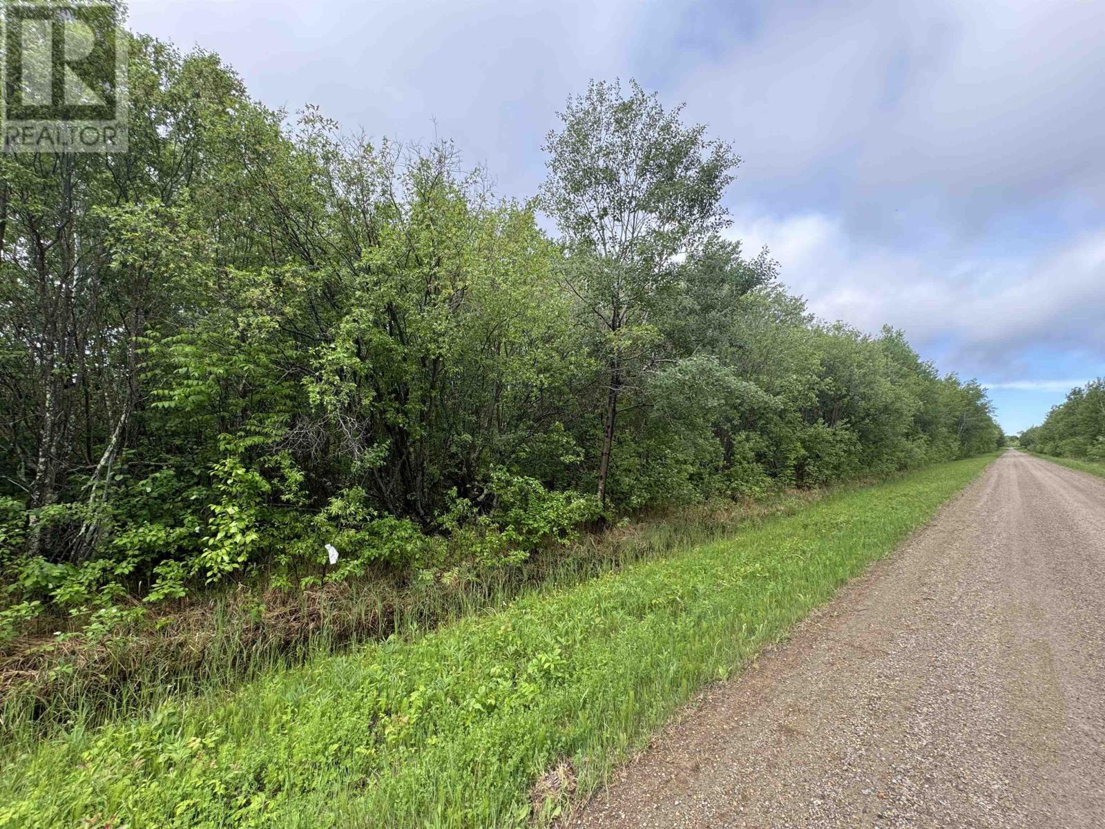 Pcl 11483 Budreau Rd, Rainy River, Ontario  P0W 1L0 - Photo 16 - TB2601849