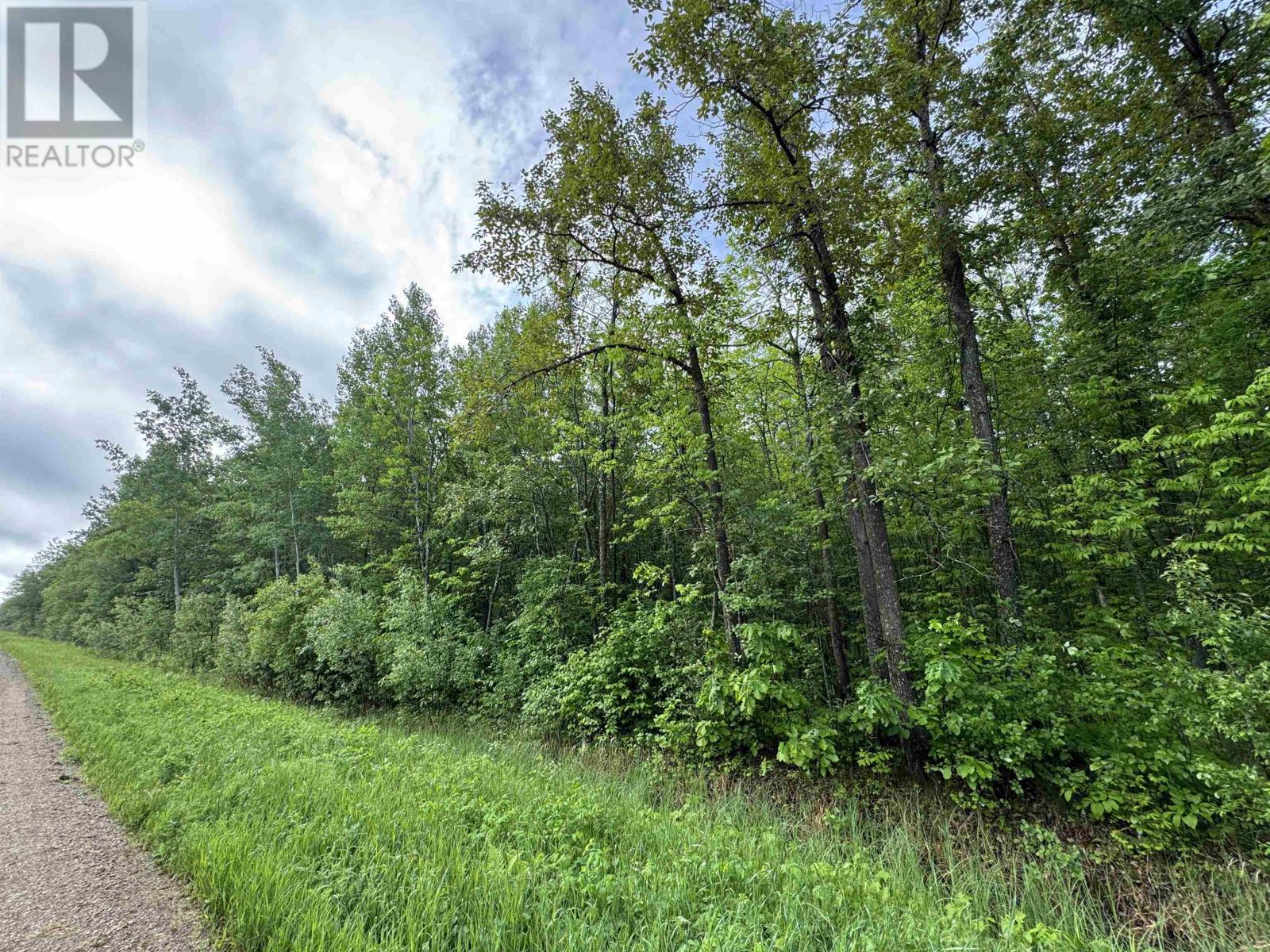 Pcl 11483 Budreau Rd, Rainy River, Ontario  P0W 1L0 - Photo 18 - TB2601849