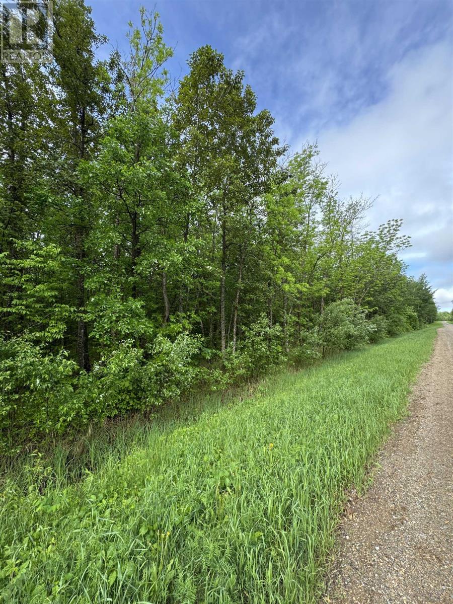 Pcl 11483 Budreau Rd, Rainy River, Ontario  P0W 1L0 - Photo 21 - TB2601849