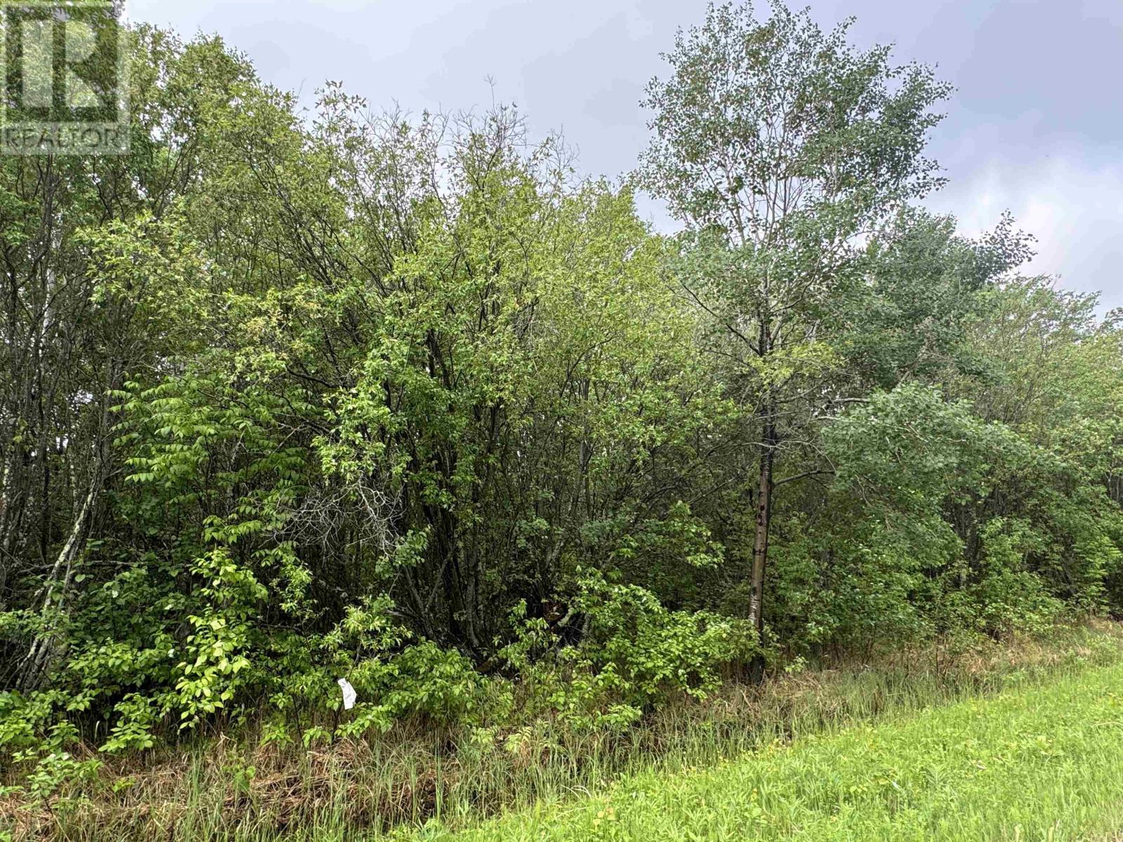 Pcl 11483 Budreau Rd, Rainy River, Ontario  P0W 1L0 - Photo 15 - TB2601849