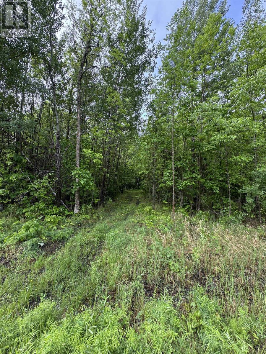 Pcl 11483 Budreau Rd, Rainy River, Ontario  P0W 1L0 - Photo 17 - TB2601849