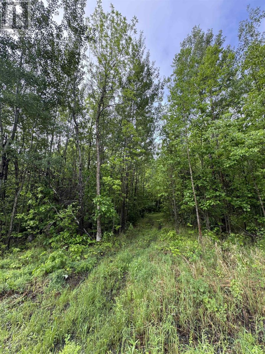 Pcl 11483 Budreau Rd, Rainy River, Ontario  P0W 1L0 - Photo 22 - TB2601849