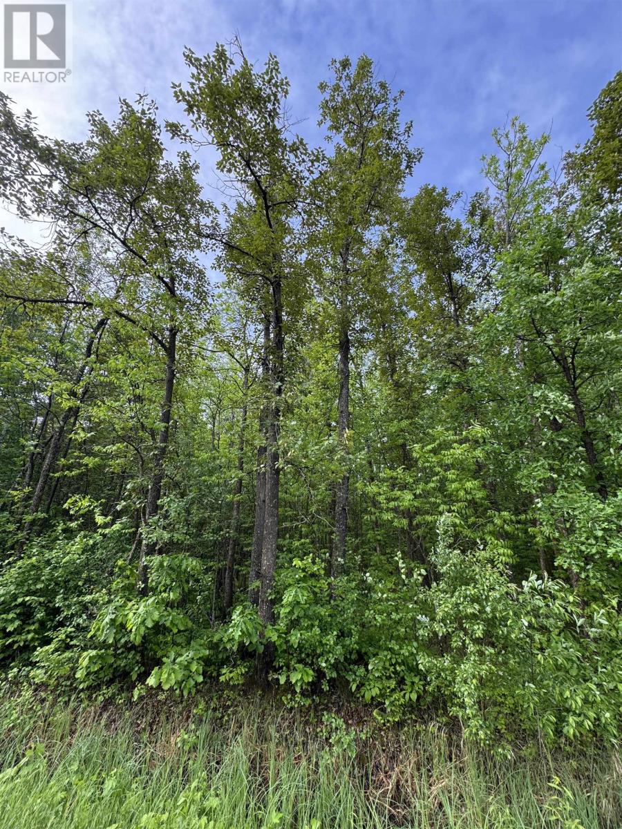 Pcl 11483 Budreau Rd, Rainy River, Ontario  P0W 1L0 - Photo 20 - TB2601849