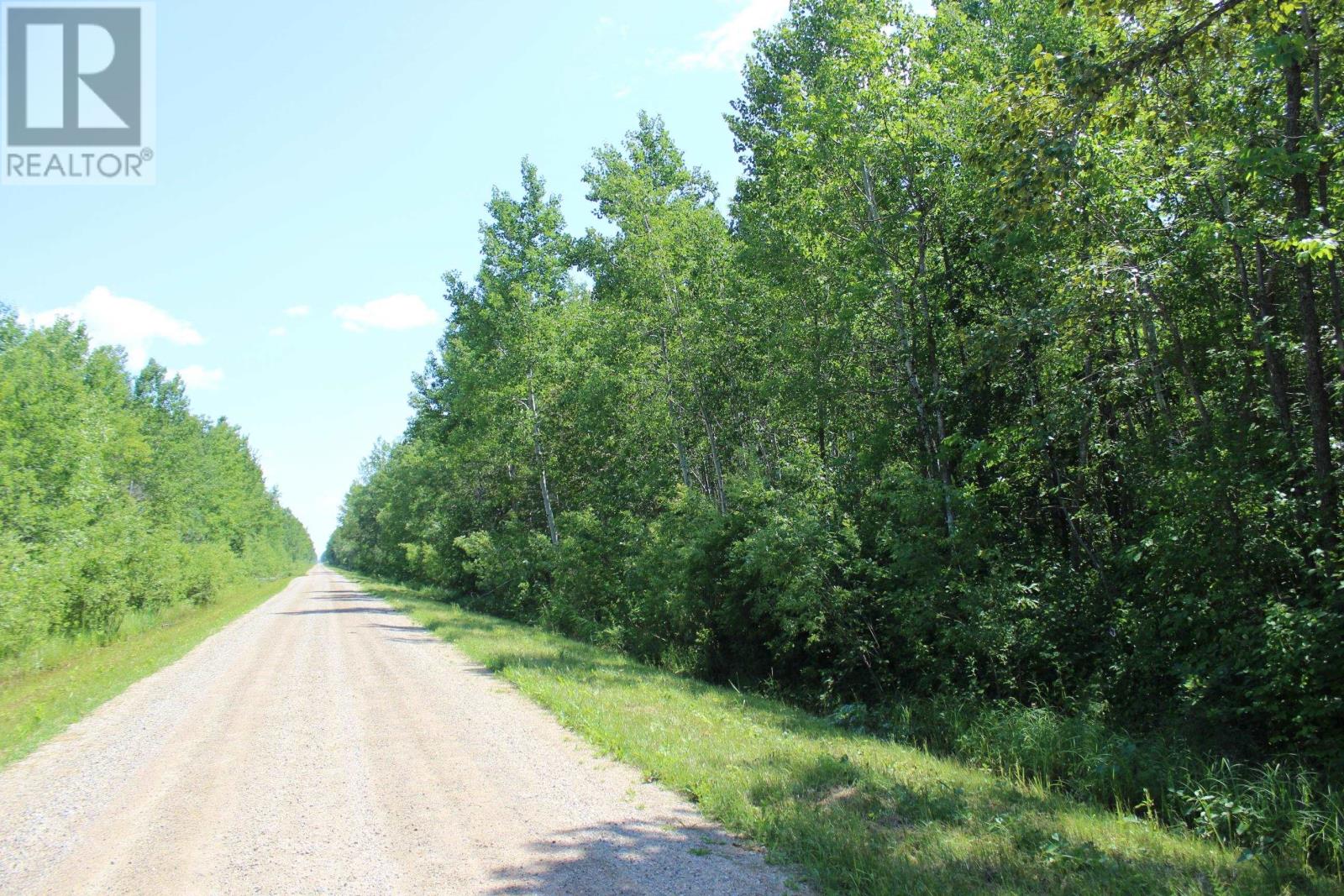 Pcl 11483 Budreau Rd, Rainy River, Ontario  P0W 1L0 - Photo 12 - TB2601849