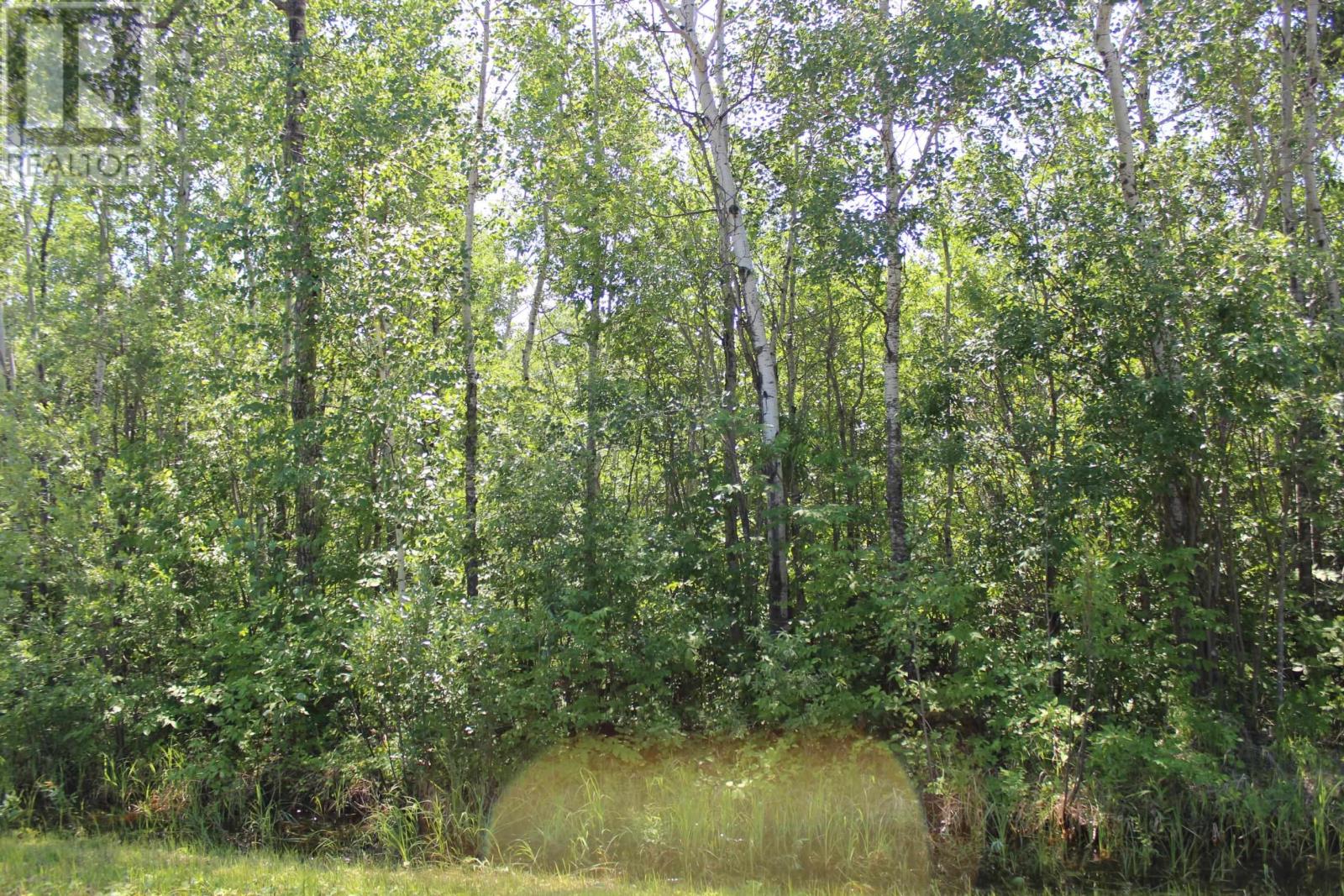Pcl 11483 Budreau Rd, Rainy River, Ontario  P0W 1L0 - Photo 13 - TB2601849