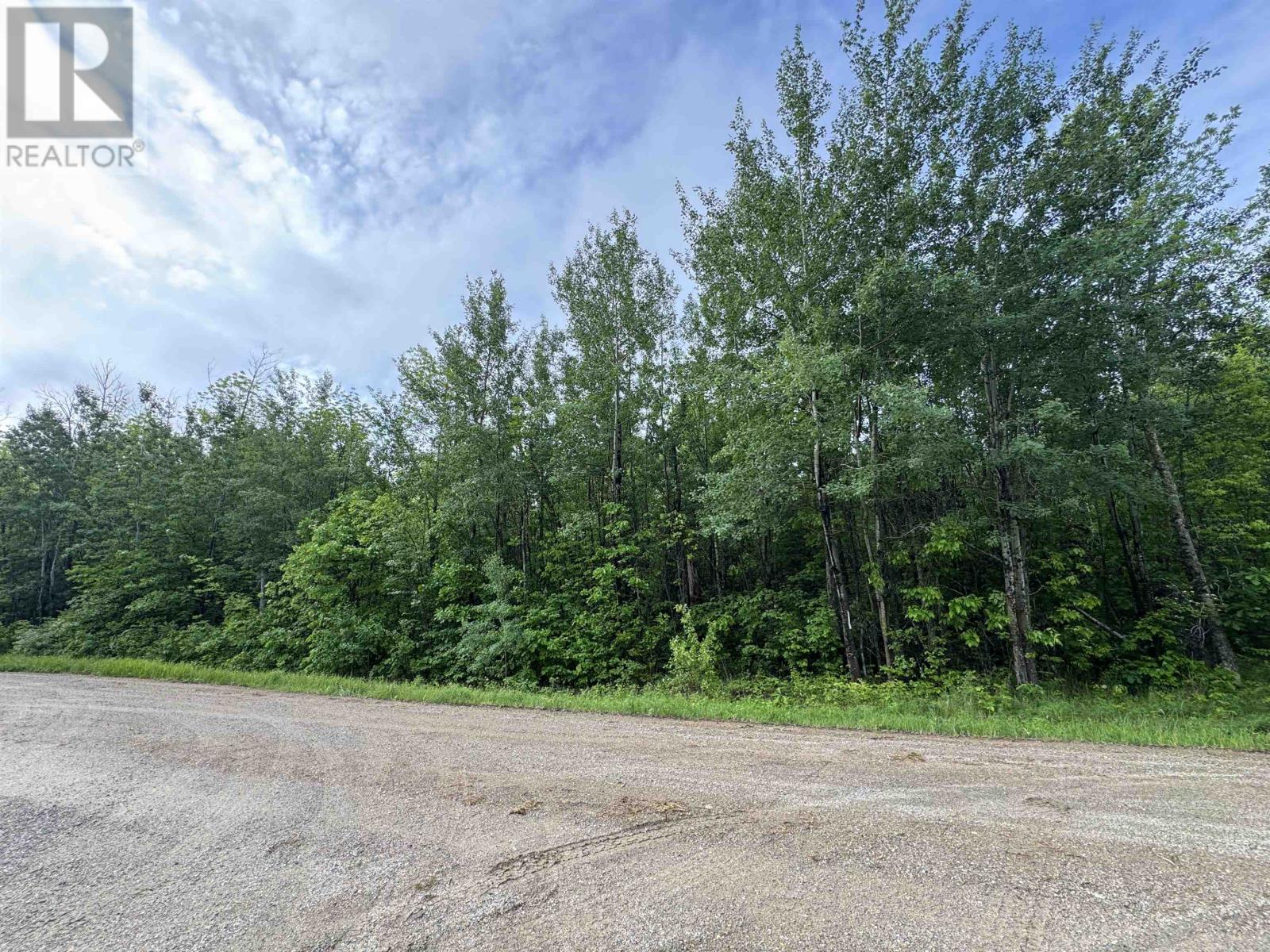 Pcl 11483 Budreau Rd, Rainy River, Ontario  P0W 1L0 - Photo 23 - TB2601849