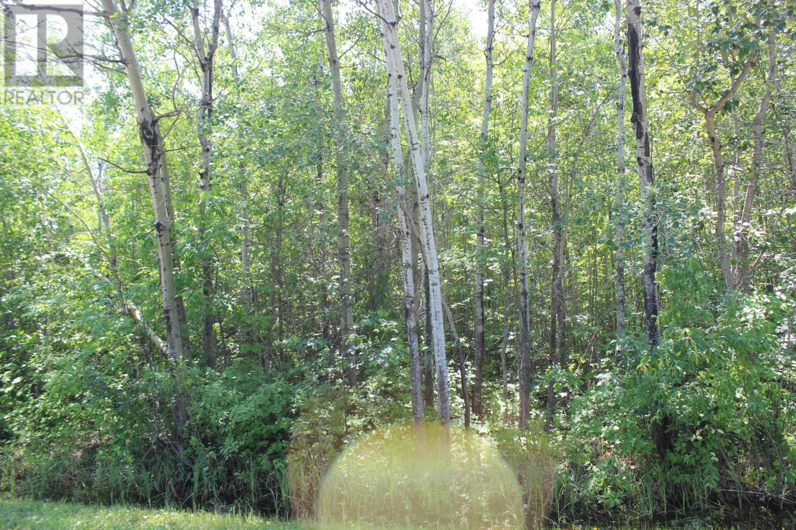 Pcl 11483 Budreau Rd, Rainy River, Ontario  P0W 1L0 - Photo 24 - TB2601849
