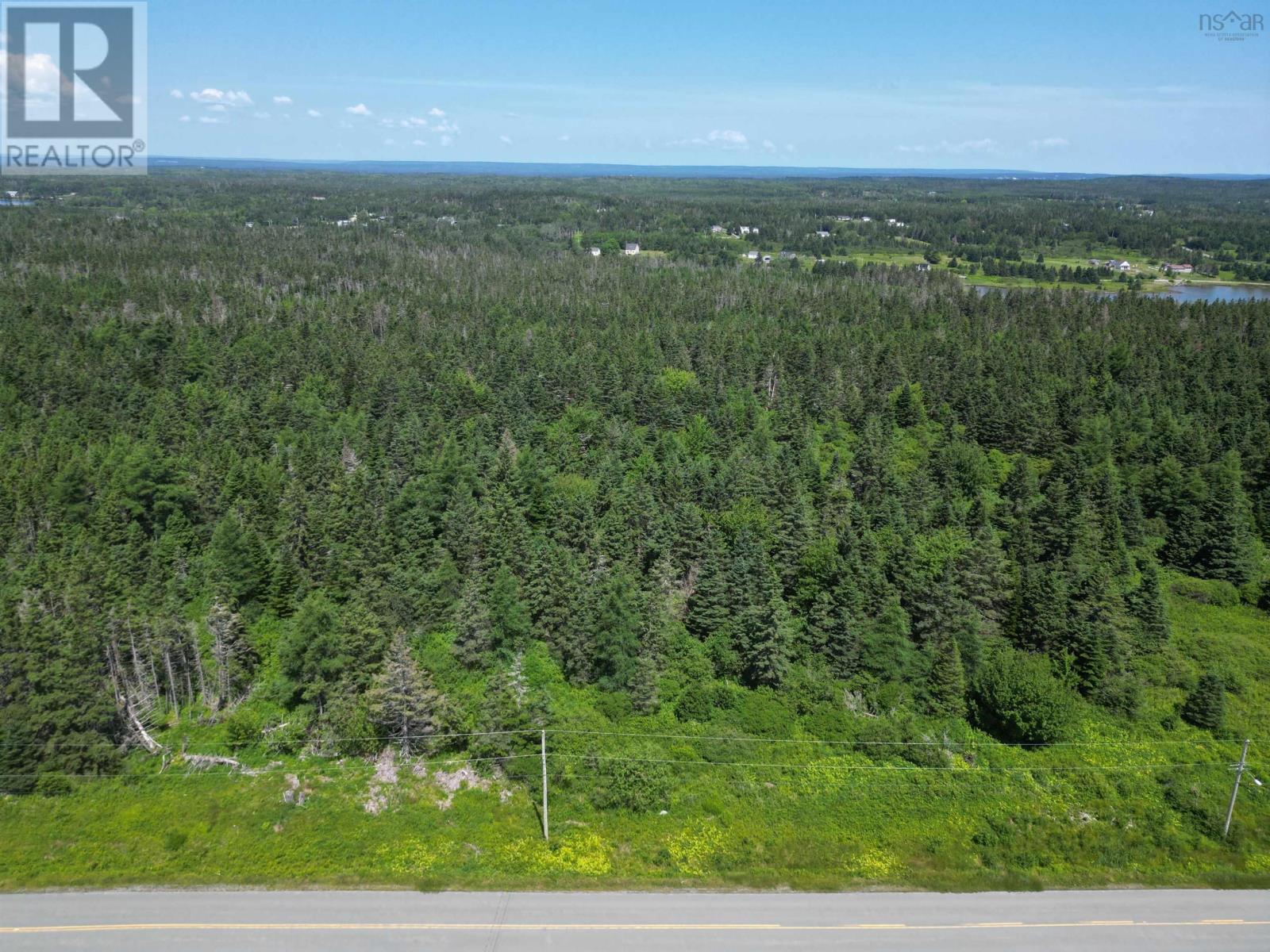picture 1