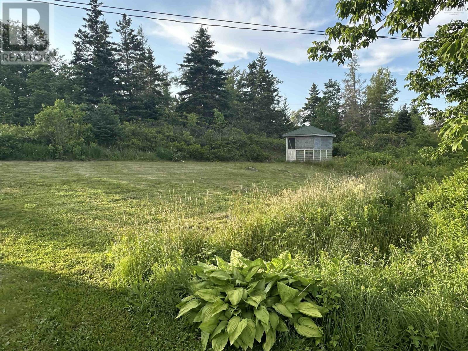 picture 23