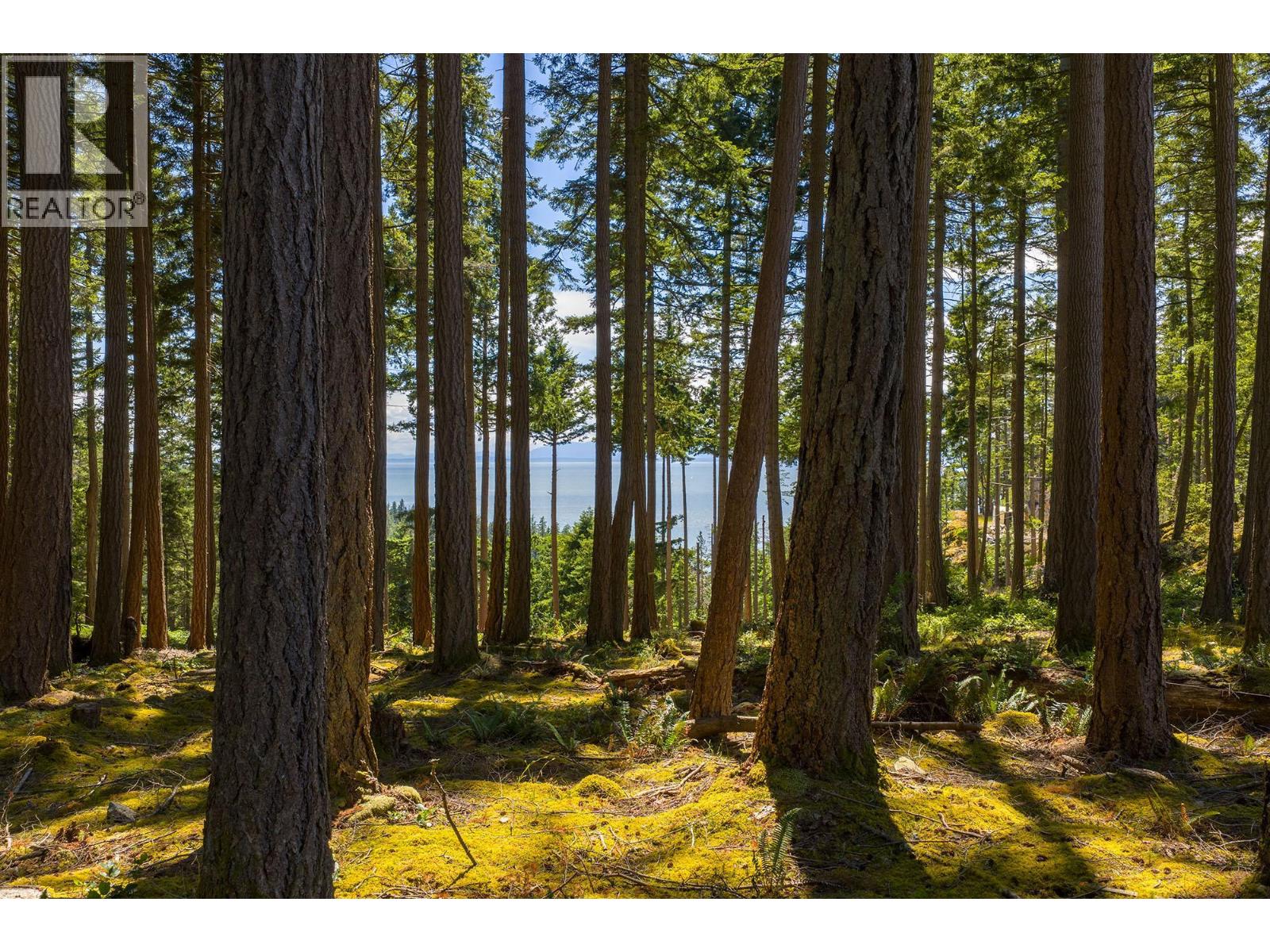 Lot 8 Hayes Road, Bowen Island, British Columbia  V0N 1G2 - Photo 12 - R3149995