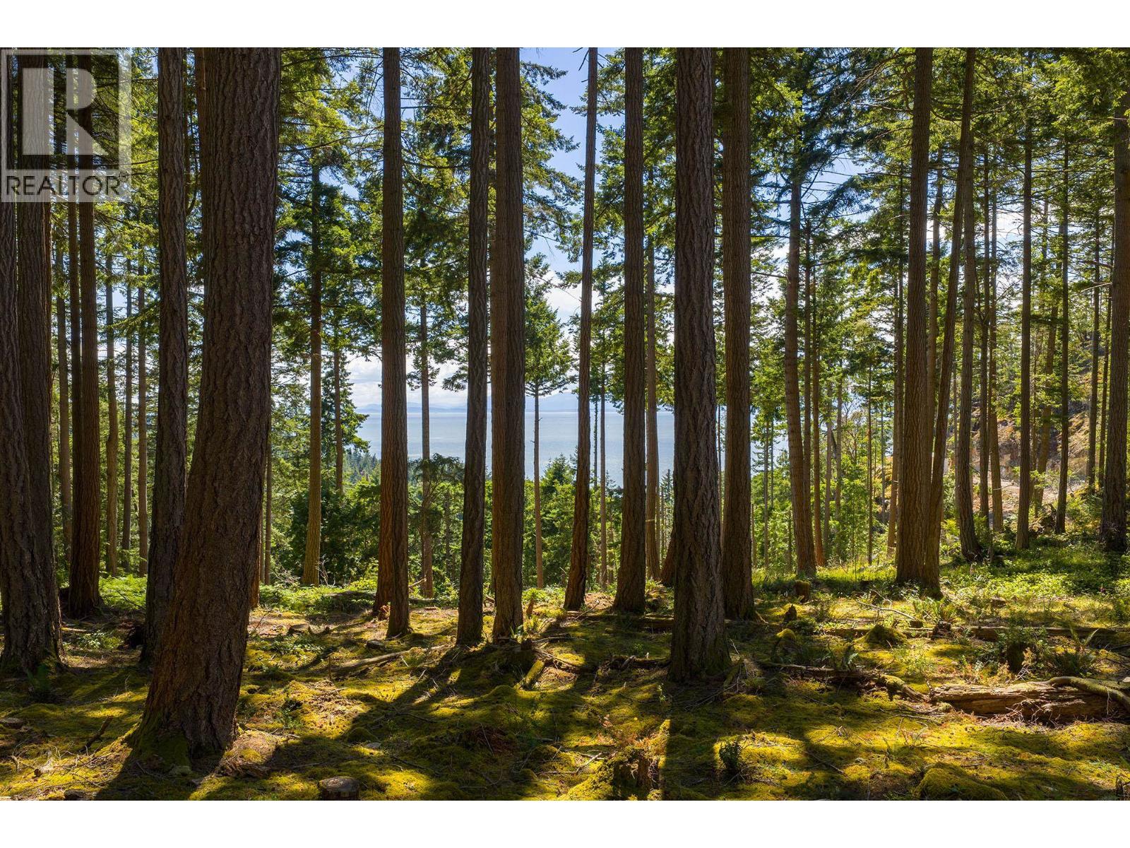 Lot 8 Hayes Road, Bowen Island, British Columbia  V0N 1G2 - Photo 2 - R3149995