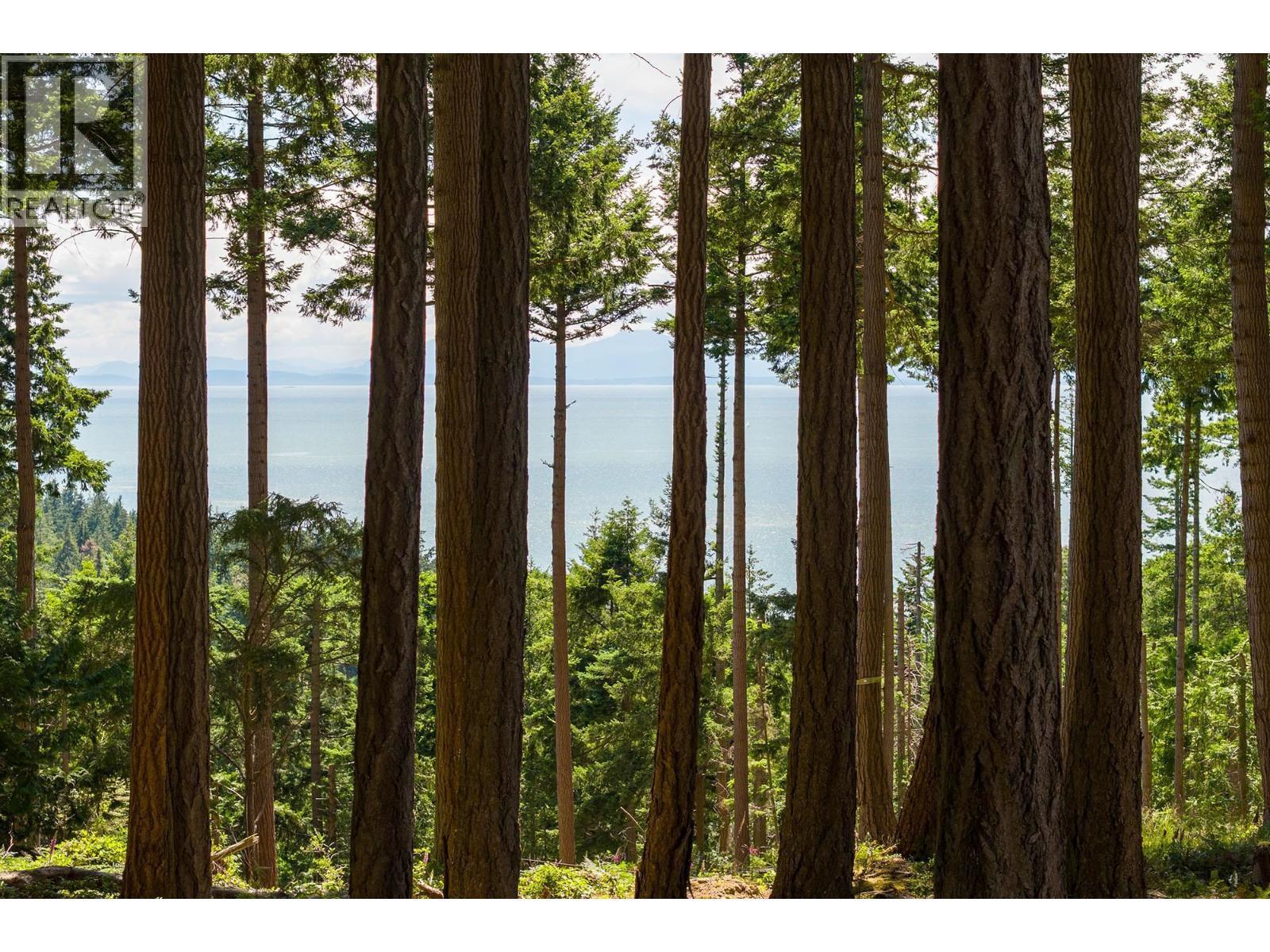 Lot 8 Hayes Road, Bowen Island, British Columbia  V0N 1G2 - Photo 3 - R3149995