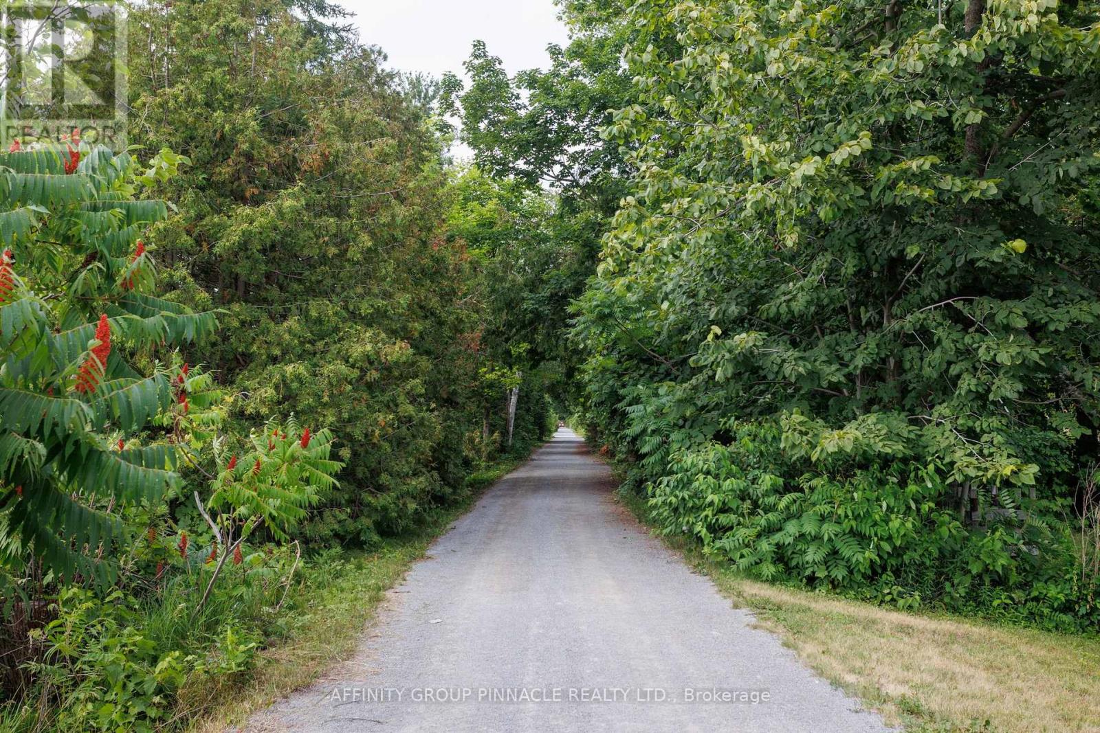 183 Louisa Street, Kawartha Lakes, Ontario  K0M 1N0 - Photo 48 - X13608086