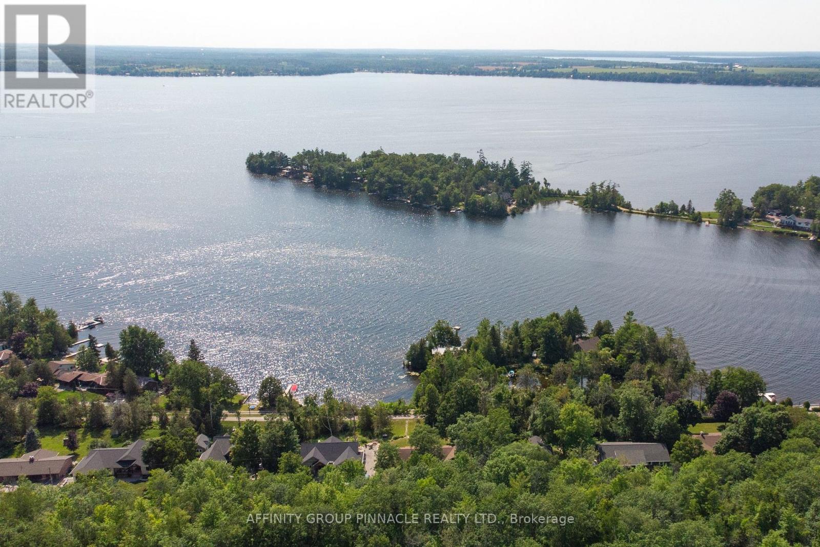 183 Louisa Street, Kawartha Lakes, Ontario  K0M 1N0 - Photo 50 - X13608086