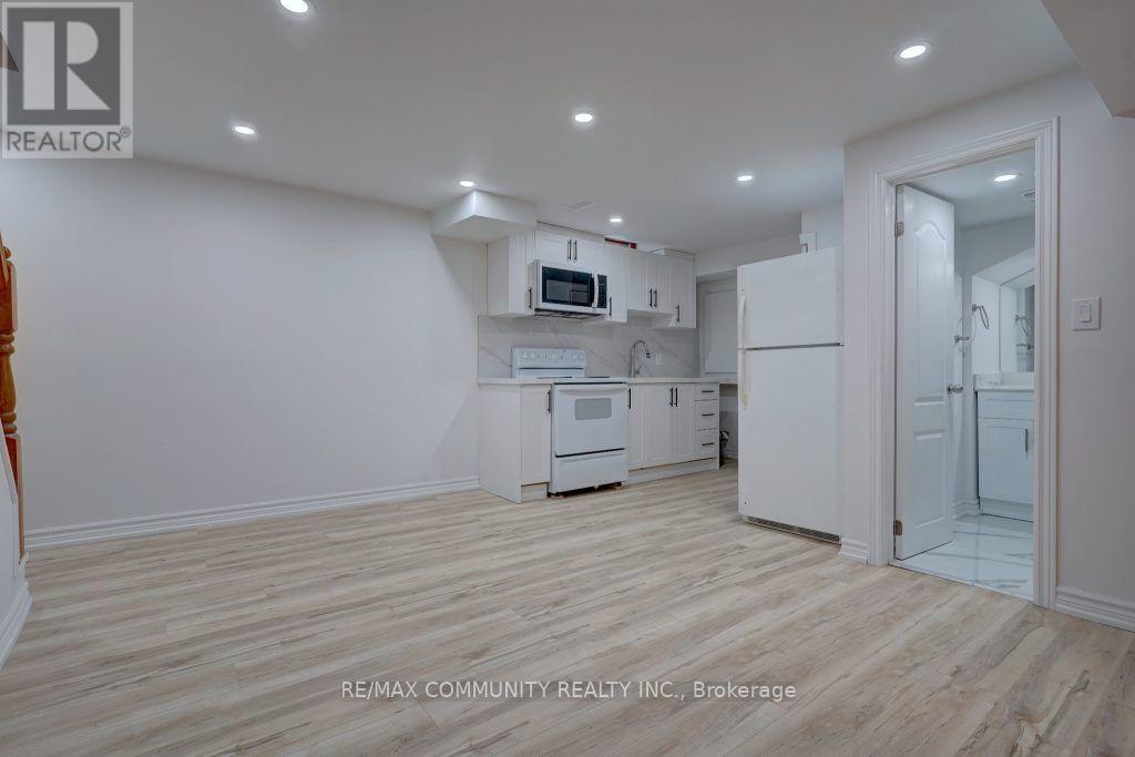 Bsmt - 166 John Tabor Trail, Toronto, Ontario  M1B 2R1 - Photo 7 - E13608012