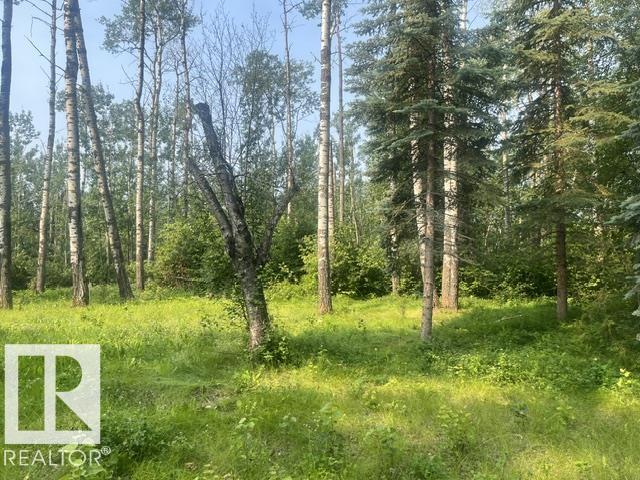 #113 55107 RR 33, rural lac ste. anne county, Alberta