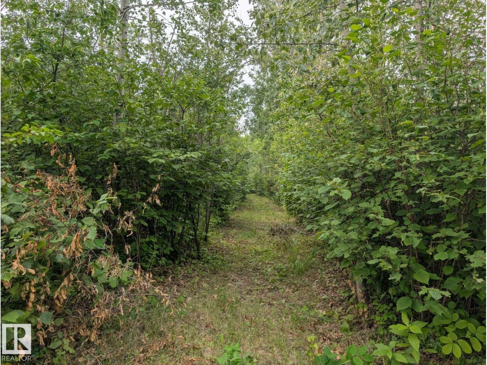 Unassigned Rg Rd 273 Es, Rural Leduc County, Alberta  T0C 0V0 - Photo 12 - E4500855