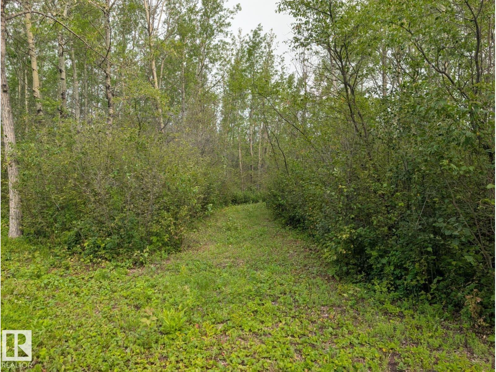 Unassigned Rg Rd 273 Es, Rural Leduc County, Alberta  T0C 0V0 - Photo 5 - E4500855