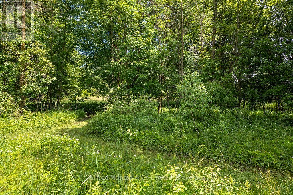 Pt Lt 27 Concession 16 Road, West Grey, Ontario N0G 2M0 - Photo 11 - X13608310