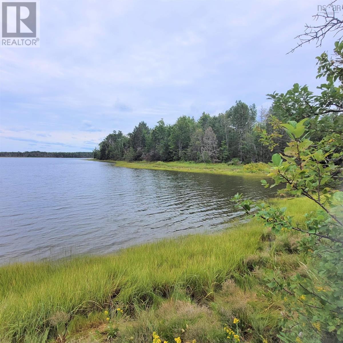 432 Stewart Road, Pugwash River, Nova Scotia  B0K 1L0 - Photo 6 - 202611345