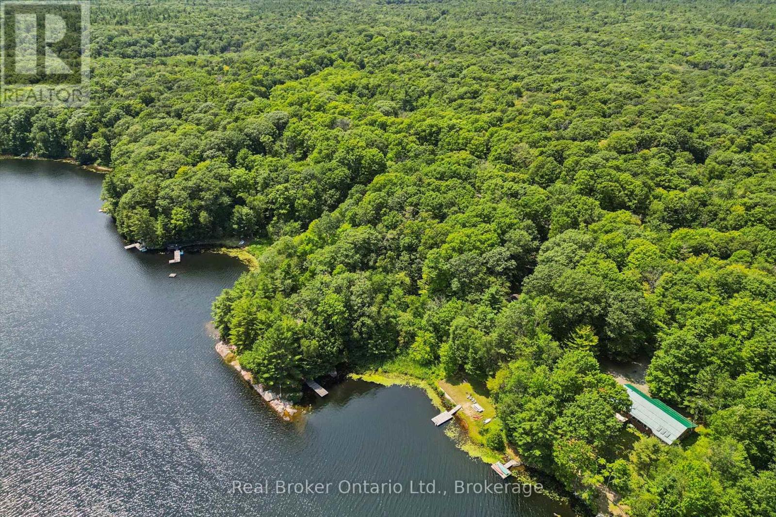 Lot #36 - 0 Salmon Lake Road, Seguin, Ontario  P2A 2W8 - Photo 6 - X13608352
